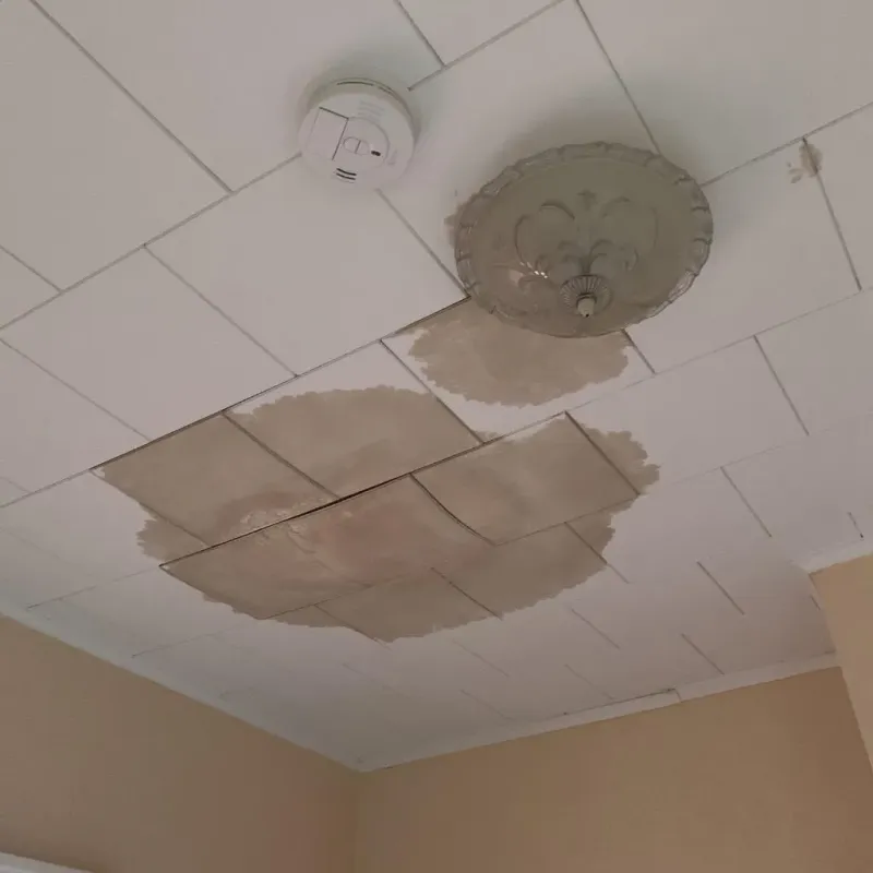 Ceiling Water Damage Repair in Berkley, MA